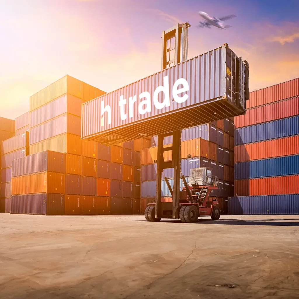 Importação e Exportação: A Expertise da h trade